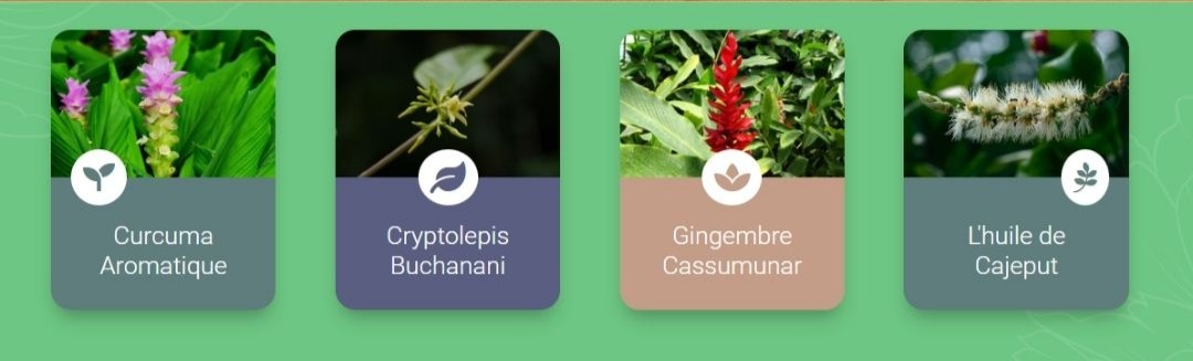 baume de massage naturel